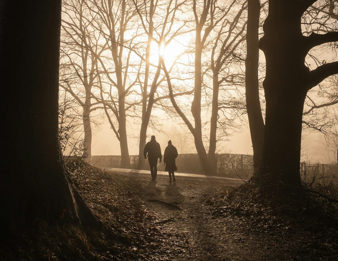 Senior couple walking together in a park in the morning